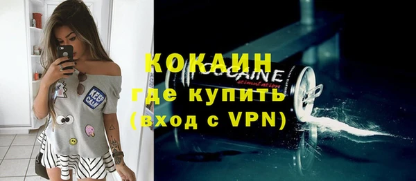 крисы Бородино
