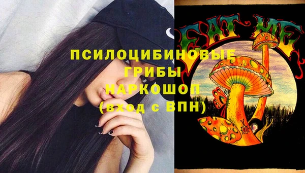 крисы Бородино