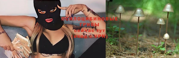 PSILOCYBIN Богданович