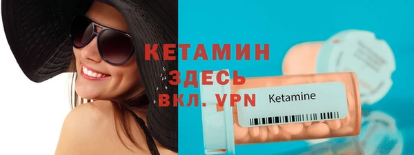 крисы Бородино
