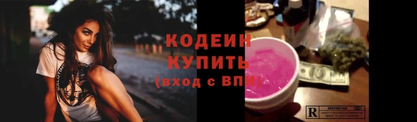 крисы Бородино