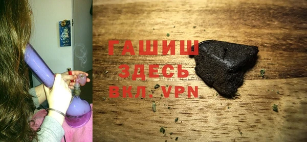 крисы Бородино