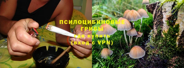 эйфоретик Бугульма