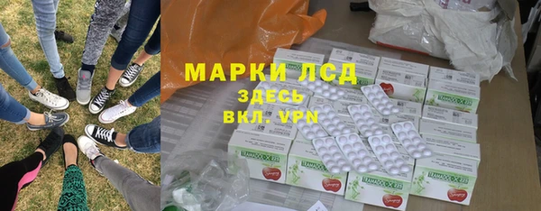крисы Бородино