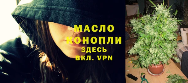 крисы Бородино